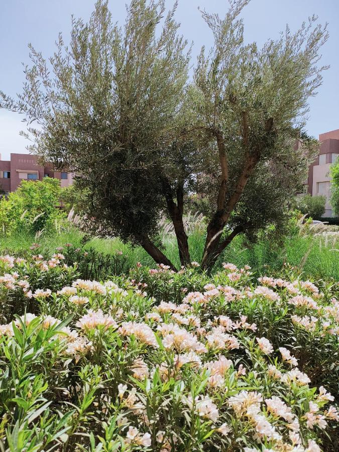 Prestigia Marrakech Dar Cheryana มาร์ราเกช ภายนอก รูปภาพ